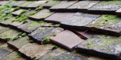 Audenshaw roof repair costs